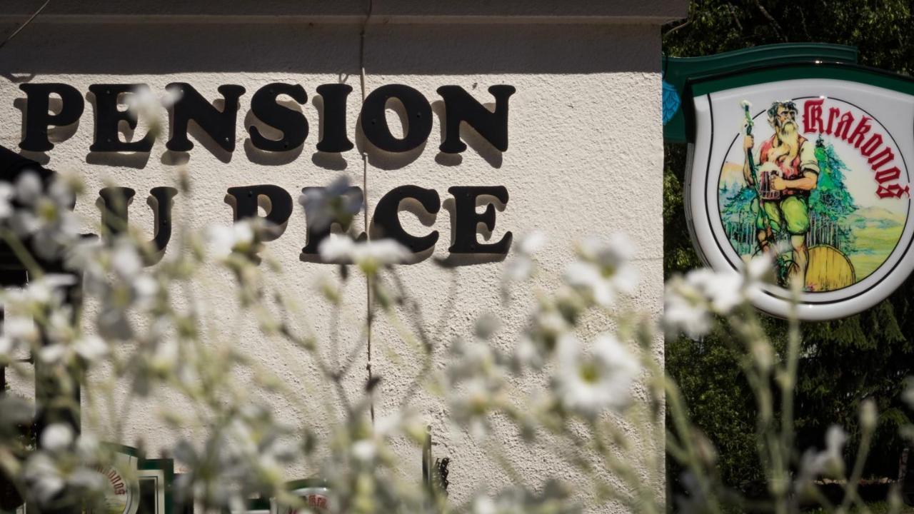 Pension U Pece Pec pod Snezkou Bagian luar foto
